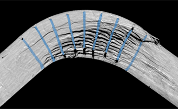 NCC Materials